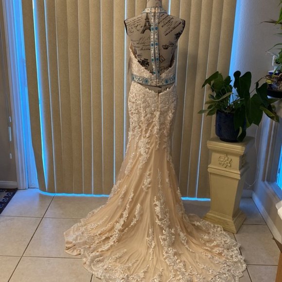 Stunning Ivory Lace & Blue Embellishments Formal Evening Gown… - Picture 8 of 15